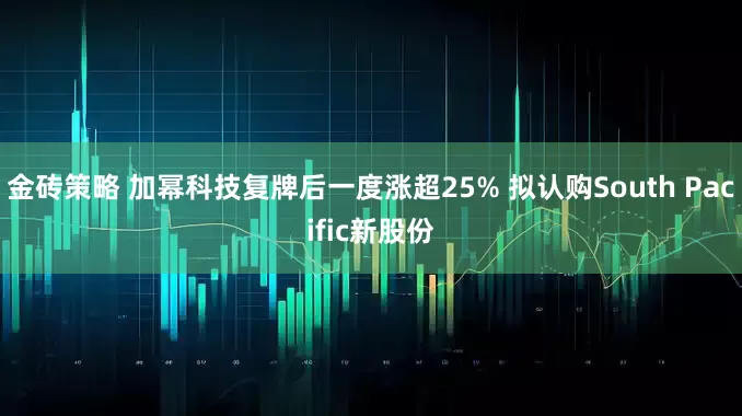 金砖策略 加幂科技复牌后一度涨超25% 拟认购South Pacific新股份