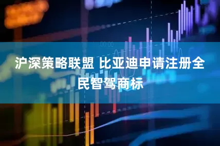 沪深策略联盟 比亚迪申请注册全民智驾商标